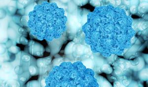 Norovirus und die Staphylokokken